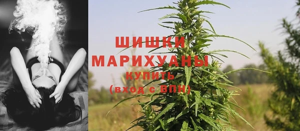 PSILOCYBIN Арсеньев