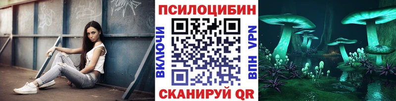 KRAKEN   Полесск  Псилоцибиновые грибы Psilocybe 